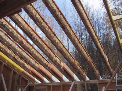 roof framing